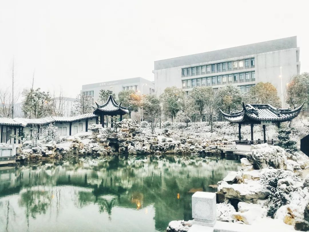 成了雪融後的玉露瓊漿 成了一點柔婉晶瑩的裝飾 素裹銀裝的香雪海