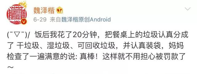 “你是什么垃圾”上海朋友垃圾分类真的太拼了！外地游客瑟瑟发抖