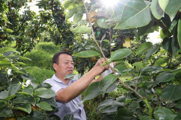 贵州福泉:驻村干部刘祖杰"三板斧"开启桂花村脱贫新征程