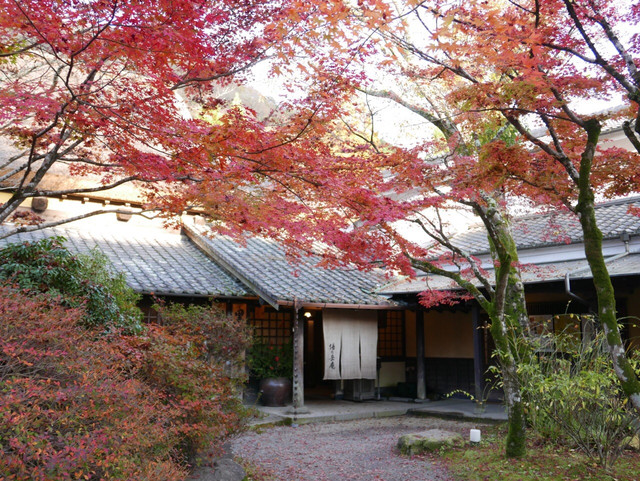 湯布院の金鱗湖 金秋紅葉