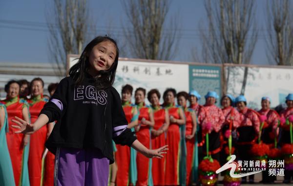 怀仁市何家堡乡举办"杏花胜景,相约何乡"乡村游活动