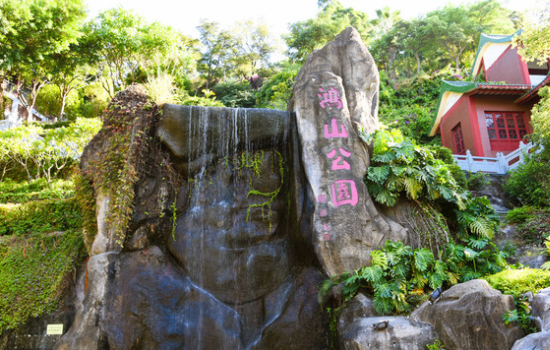 鴻山公園的茶歇時光