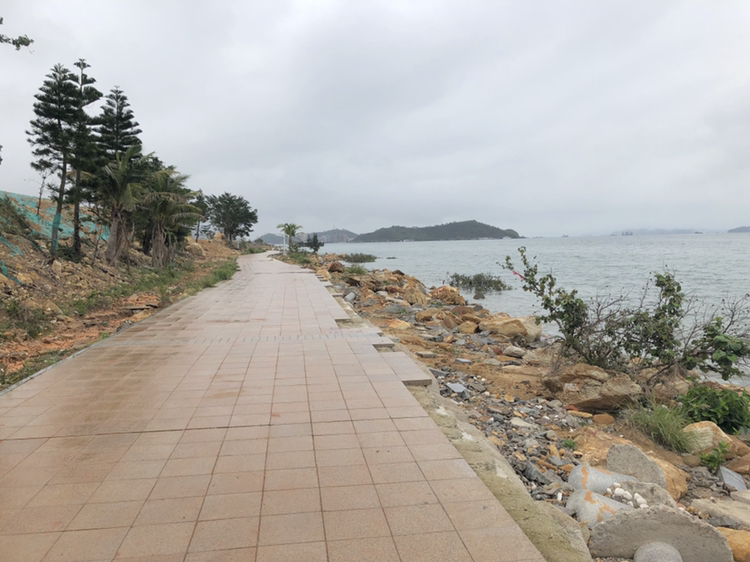 广东省深圳市龙岗区葵涌坝光海滩白沙湾公园惠州市大亚湾小桂湾