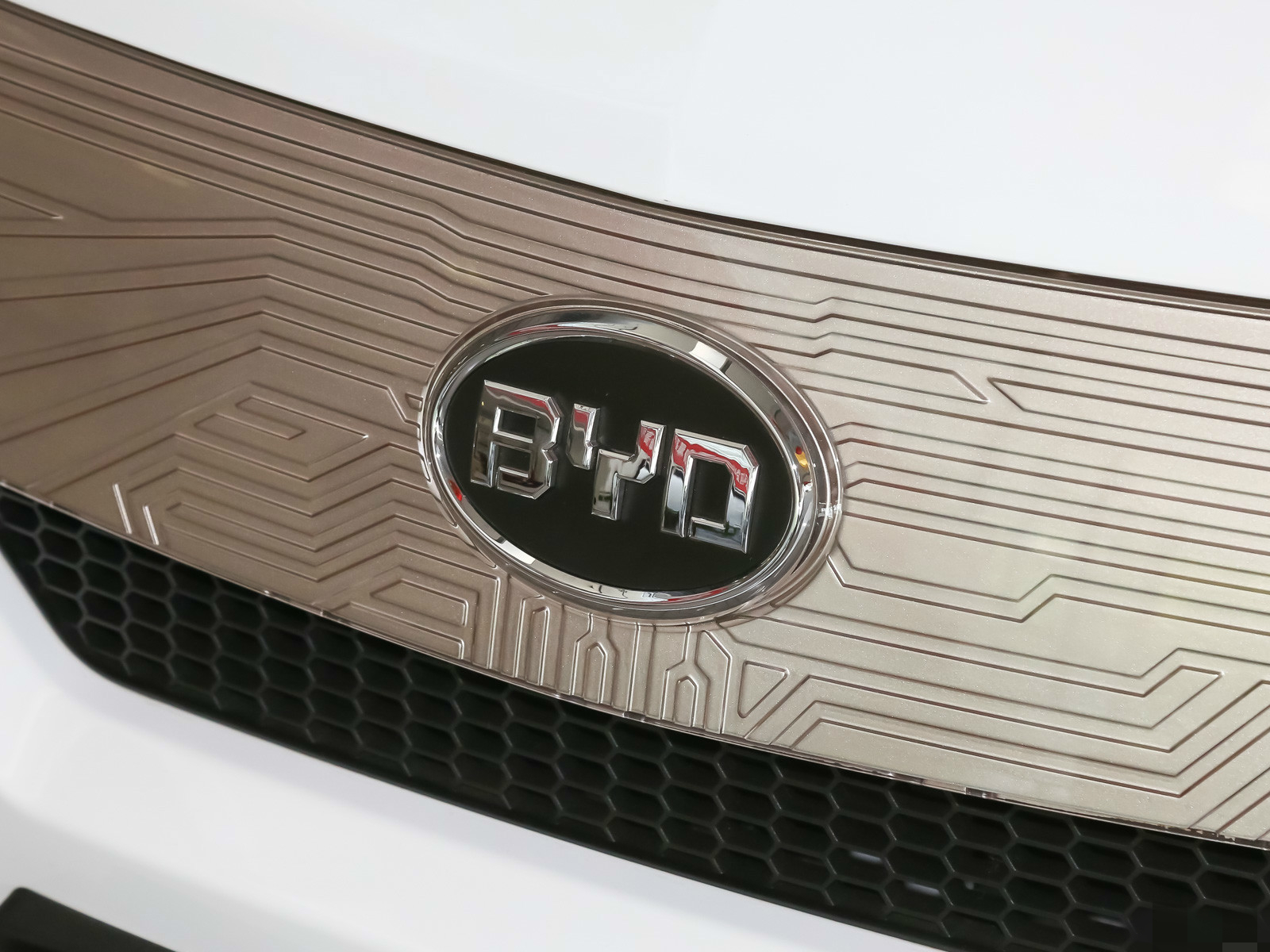 领你欣赏比亚迪e6的霸气外观