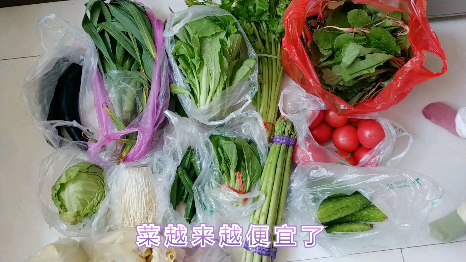 菜越来越便宜,60元买了一堆,用3斤菜苗包2屉包子,家人吃的真香