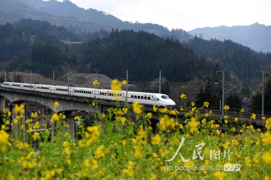 贵州榕江:穿越芬芳的列车