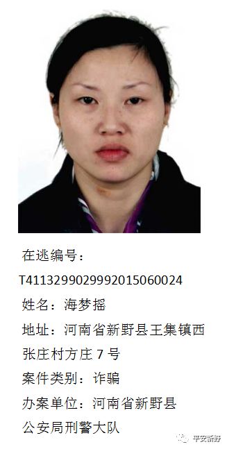 故意杀人,盗窃,新野县公安局公开通缉23名在逃人员