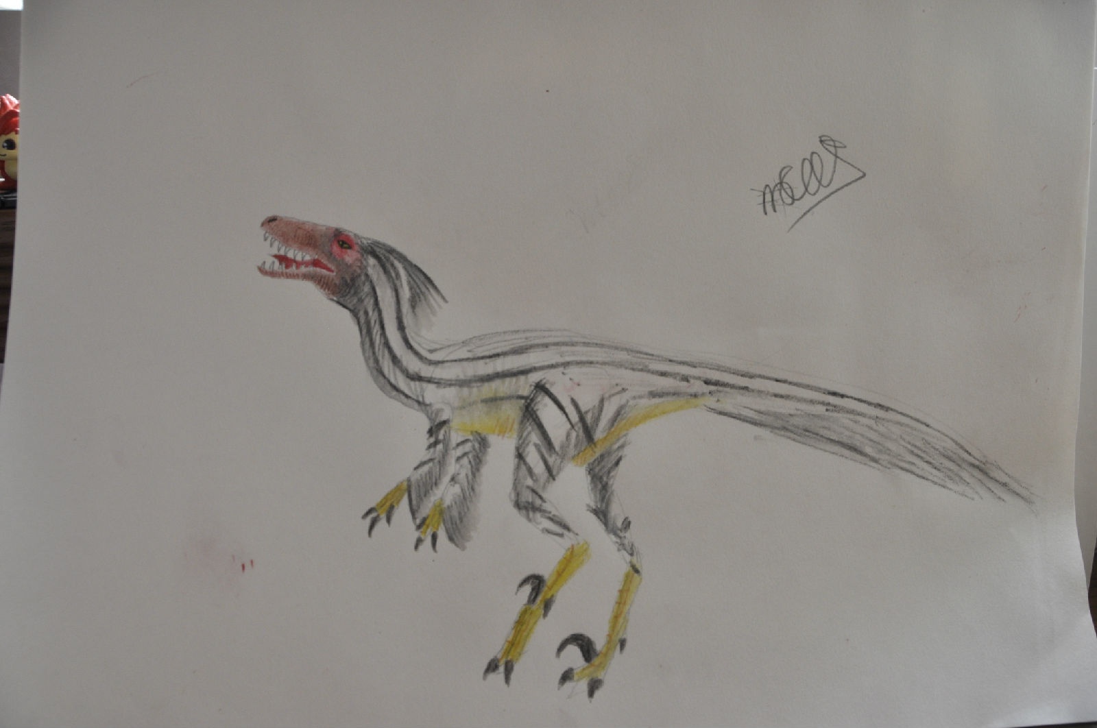 科普一下,了解热河龙的请举手