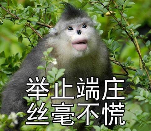 世界杯·望俄打卦:瑞典vs瑞士,瑞典不惧瑞士,实力相当