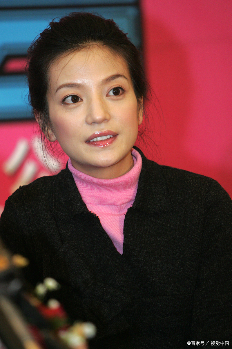 再见,小燕子赵薇