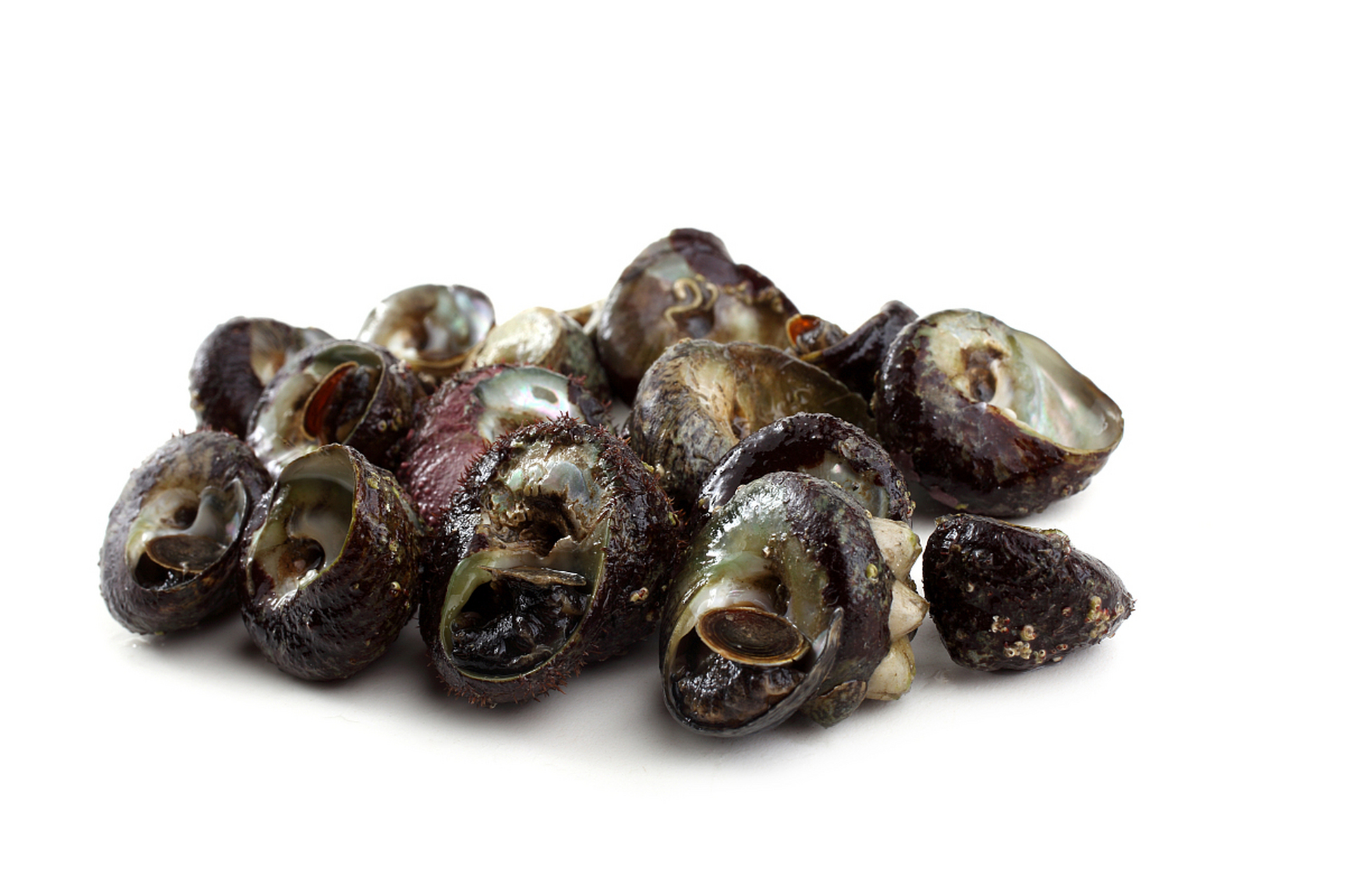 在浙江的慈溪,有一种让人回味无穷的海鲜特产——慈溪泥螺