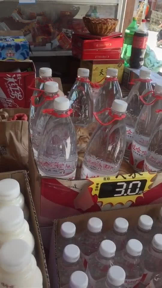 女子去小卖部买水,中途发现不对劲,抬起头问老板:猫怎么卖的?