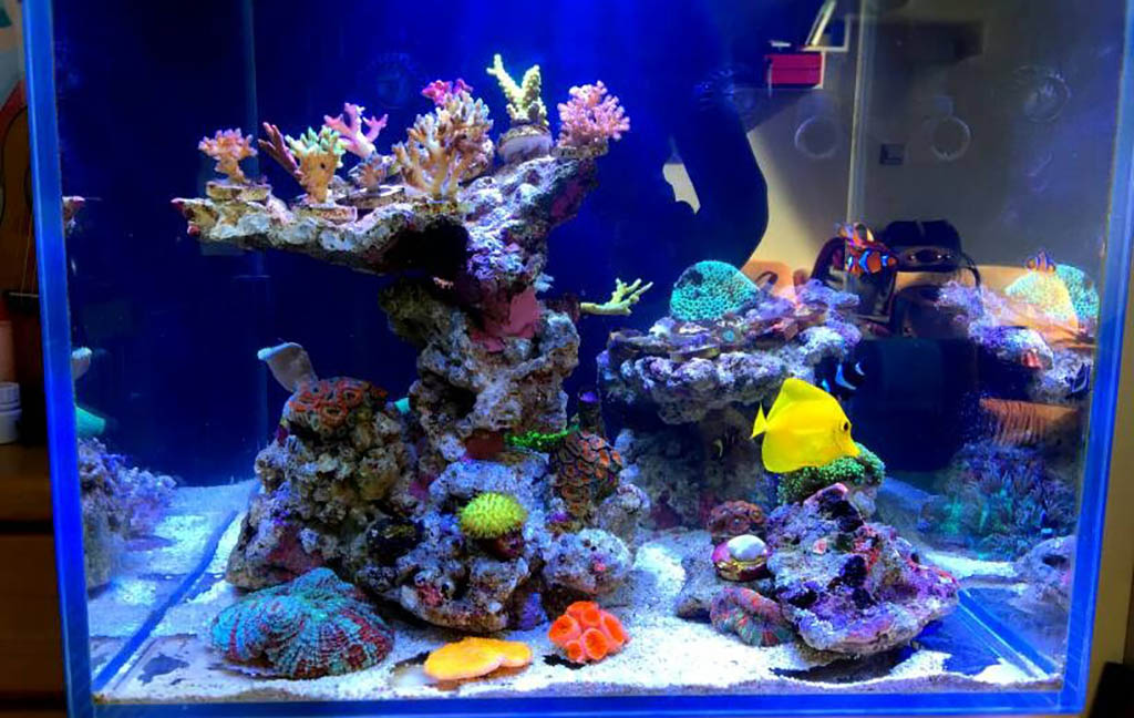 鱼缸- 热门商品专区