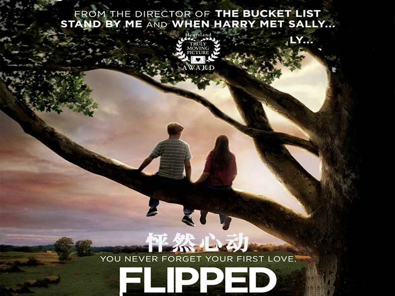 10,怦然心动                    美国