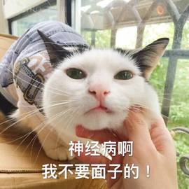 "给你脸了"用英文怎么说?"give your face"?