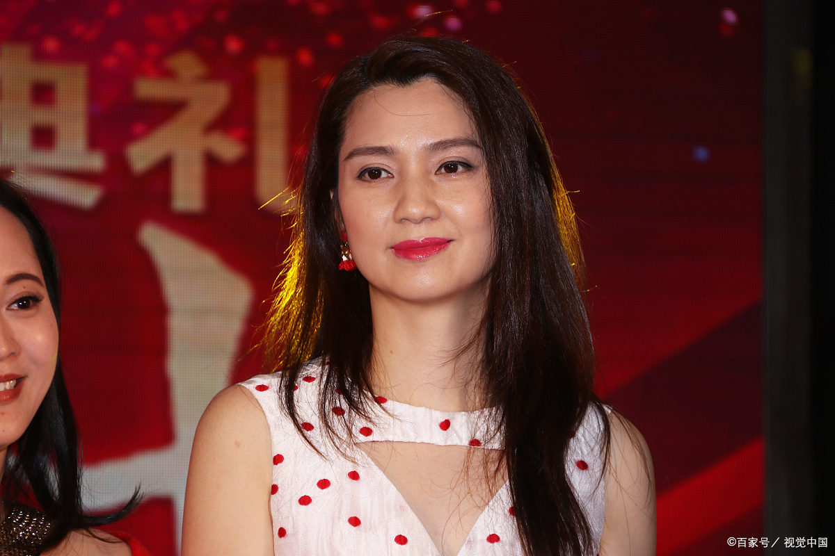 洪欣:最美豆腐西施