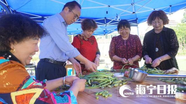 海宁杨汇桥村好风光 四方游客纷纷来