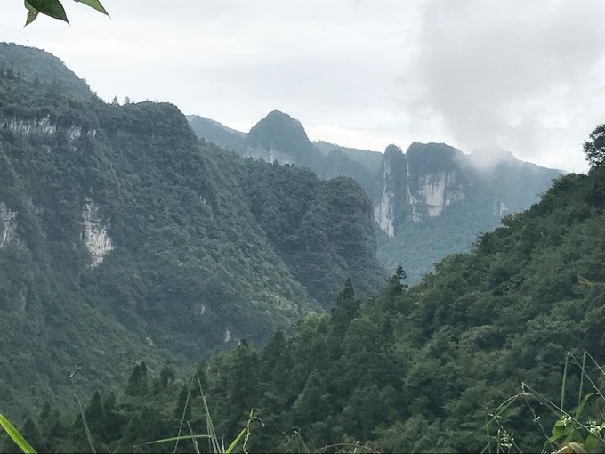 绥阳宽阔水:贵州大娄山脉东段,地球同纬度上仅存的一片原始森林