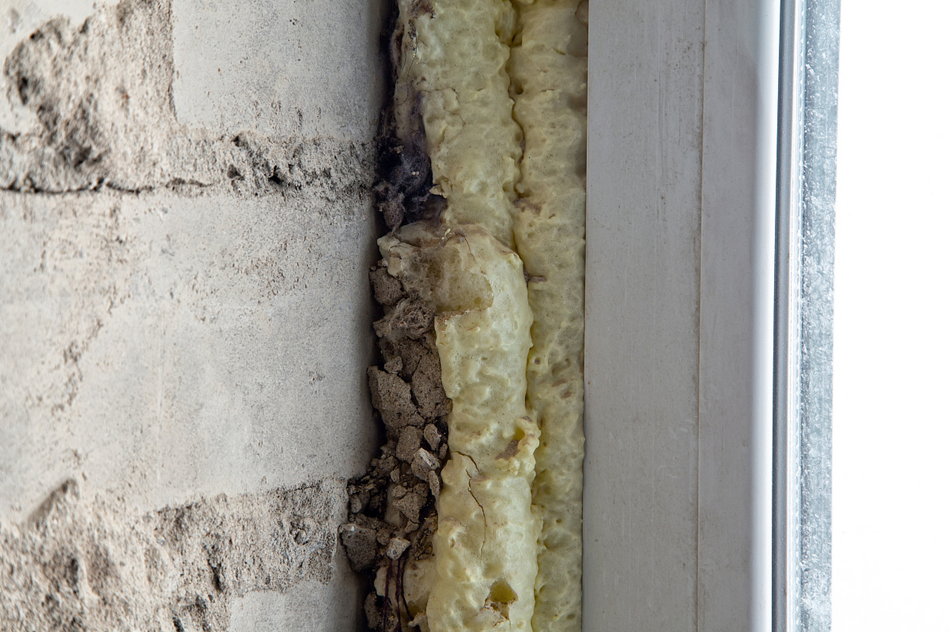 白蚁还喜欢活动在线缆管道中,它们在里面活动的时候,往往会将线缆的