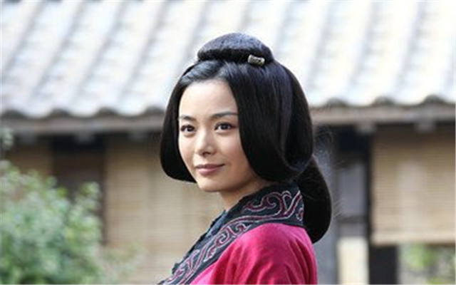 丁夫人家世图片