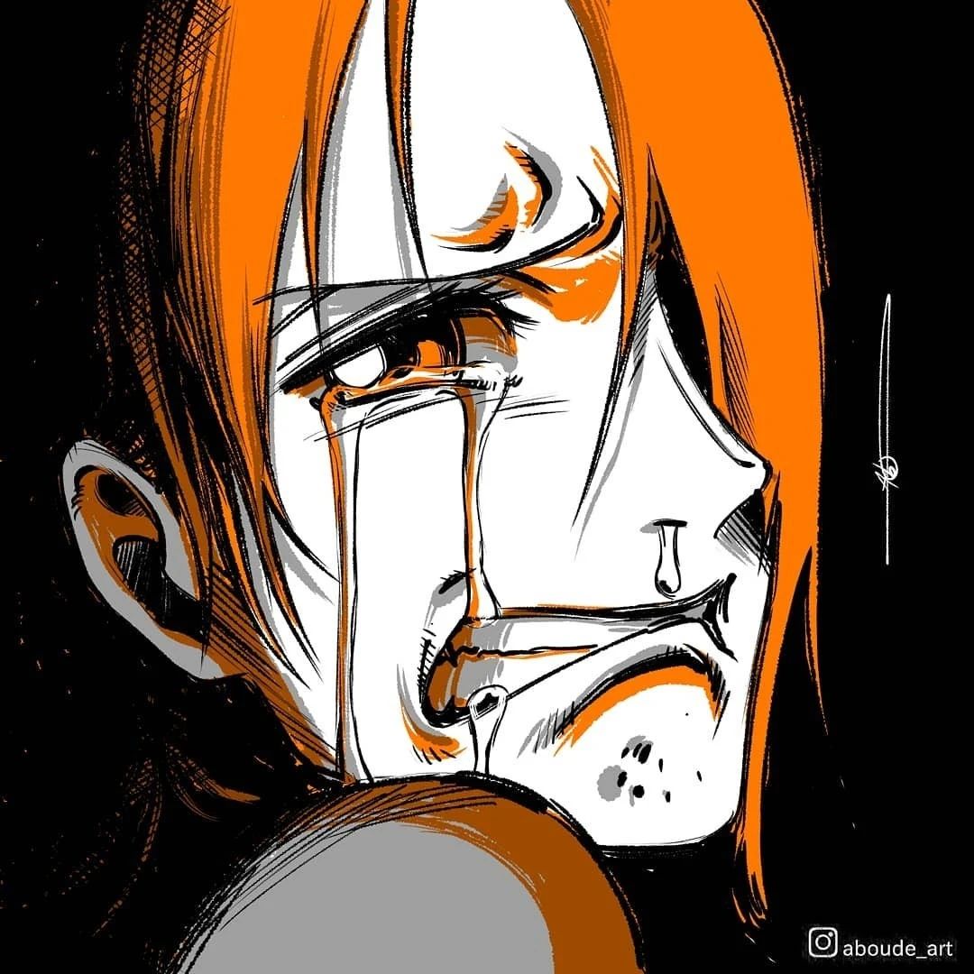 海贼王霸气与伤感壁纸,娜美和罗宾哭得让人心疼,龙霸气带着搞笑