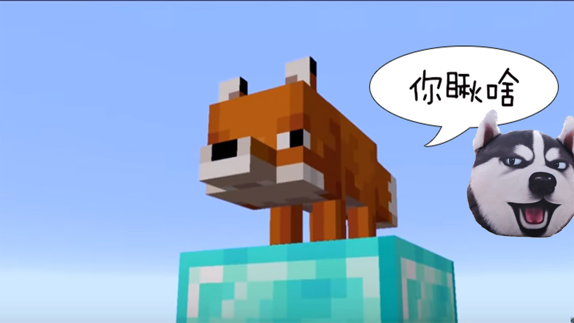我的世界:万物皆可叼!新版本生物狐狸登场,玩家:好想养一只!