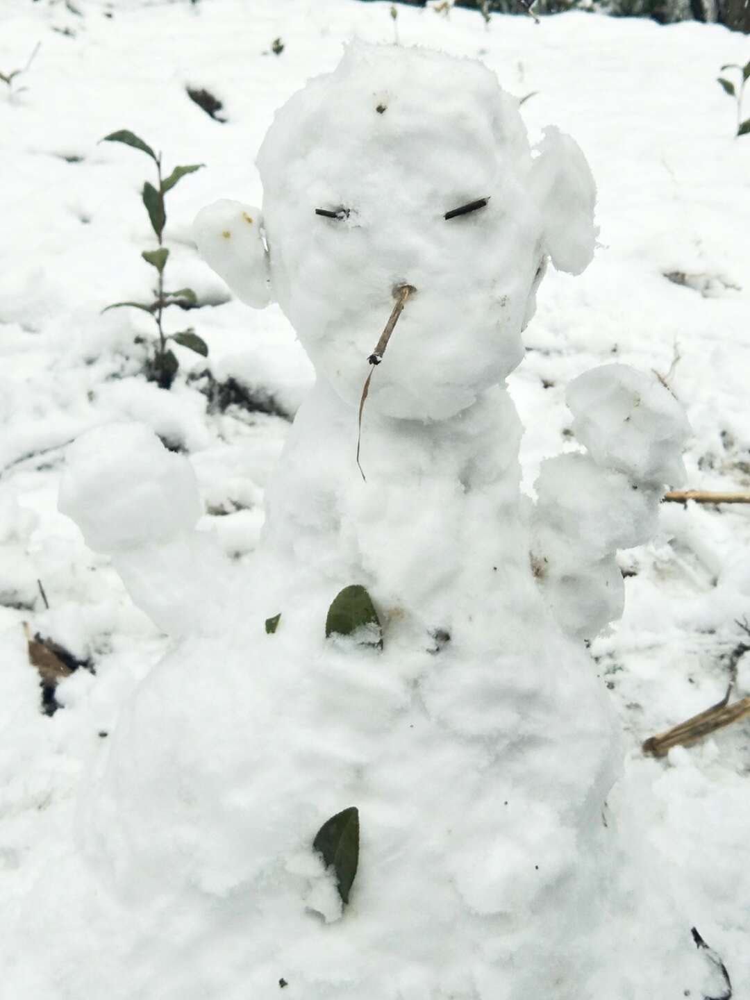 旅行青蛙:一场雪过后,各路高人在雪地里堆出了蛙的样子,雷人!