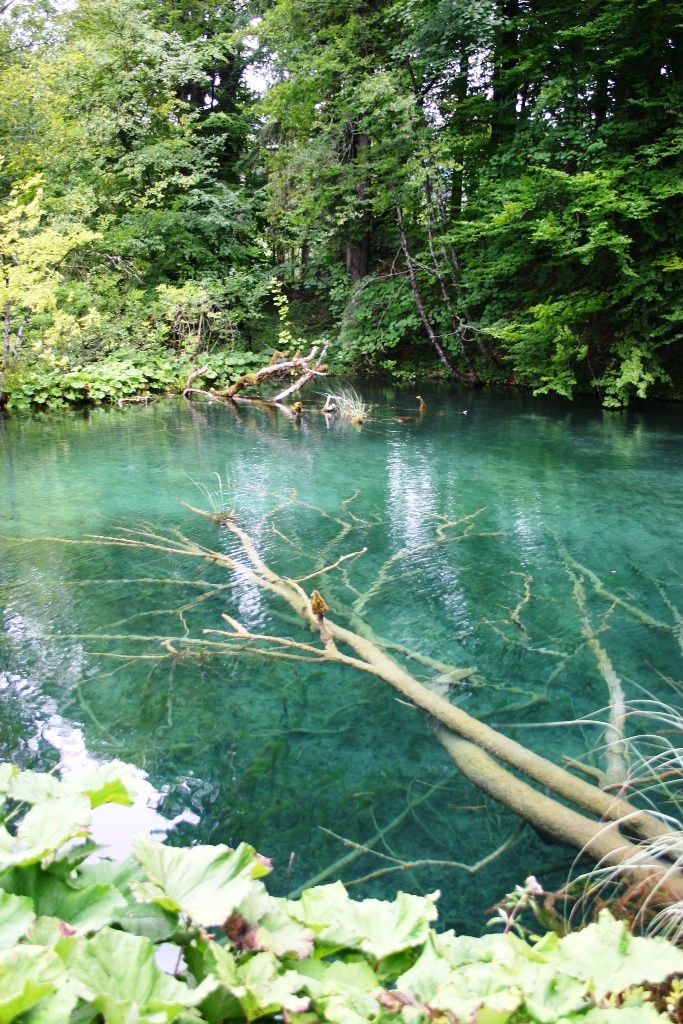 山间小屋,湖边绿树