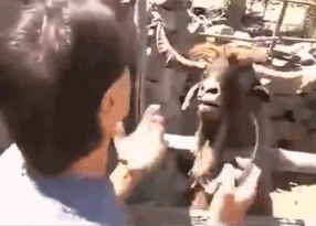 286_205gif 动态图 动图