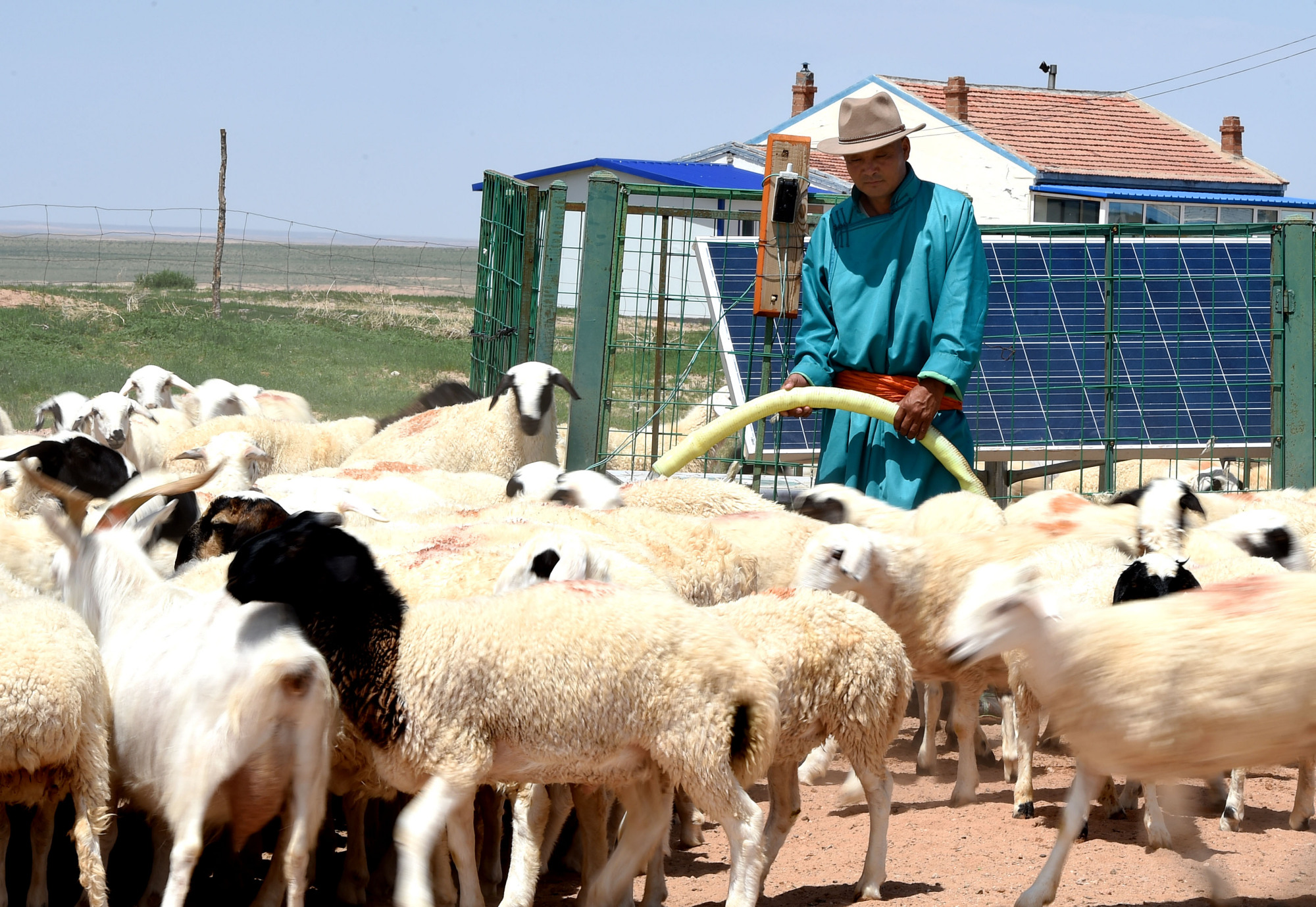 内蒙古八成以上农村牧区用上自来水