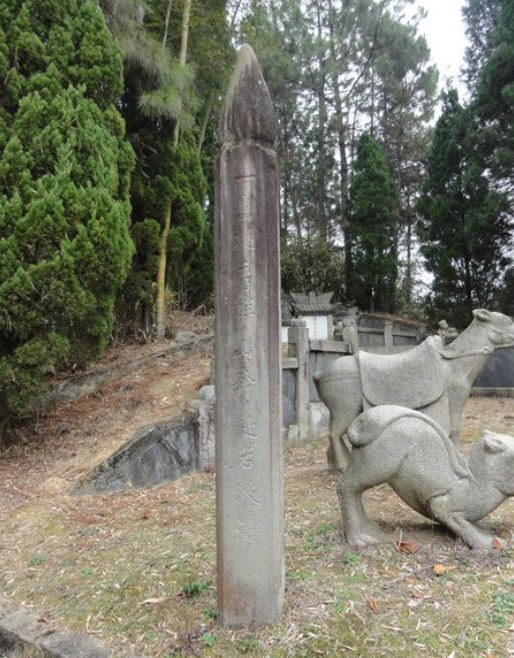 谭嗣同墓地照片,简陋寒酸杂草丛生,看上去一片凄凉