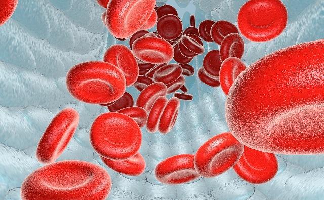 雄性激素旺盛的男人,通常都有这些共同点,如果你有,就偷着乐吧