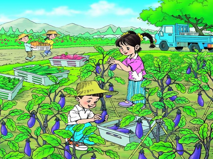 遠景小菜園:盤點學習,初冬菜農應該做的3樣農活