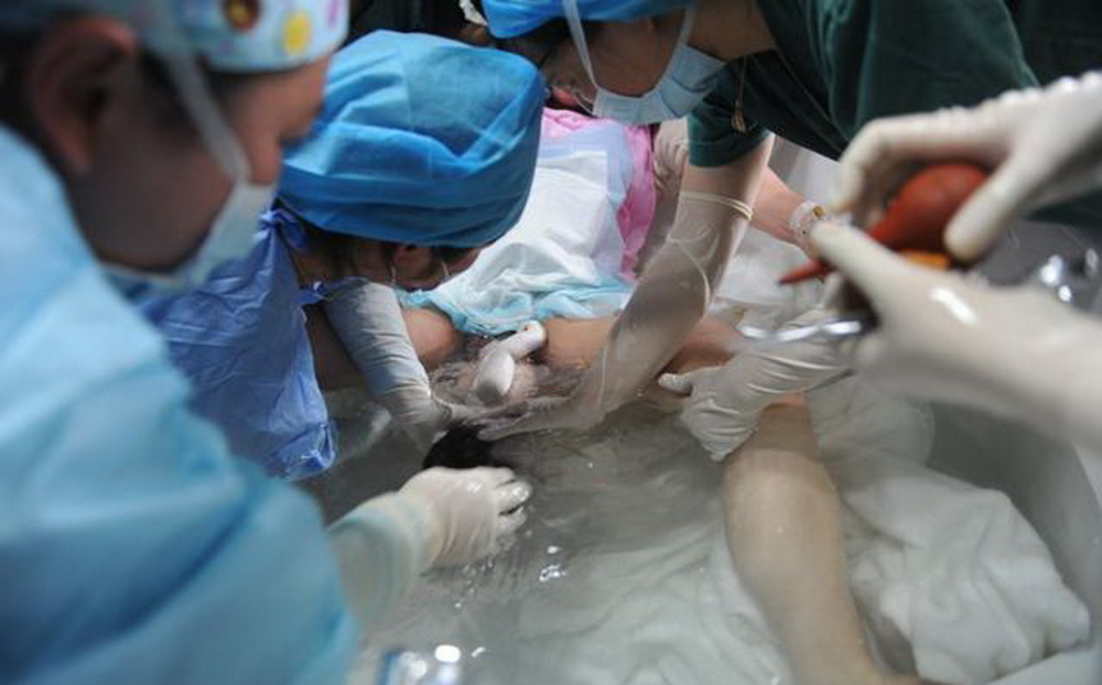 摄影师揭秘孕妇水中分娩瞬间,终于明白婴儿刚出生为啥不会呛水!