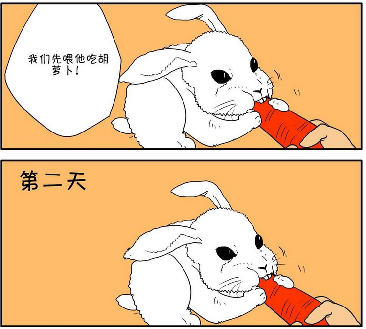 杀手古德:兔子十天不吃胡萝卜就饿死,博士:太依赖胡萝卜!