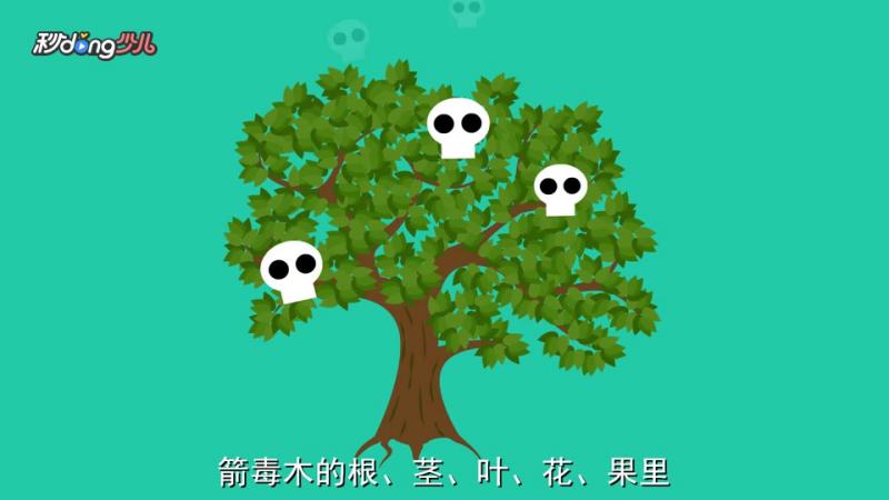 箭毒木为什么叫做“见血封喉”？,大自然,环球自然,好看视频