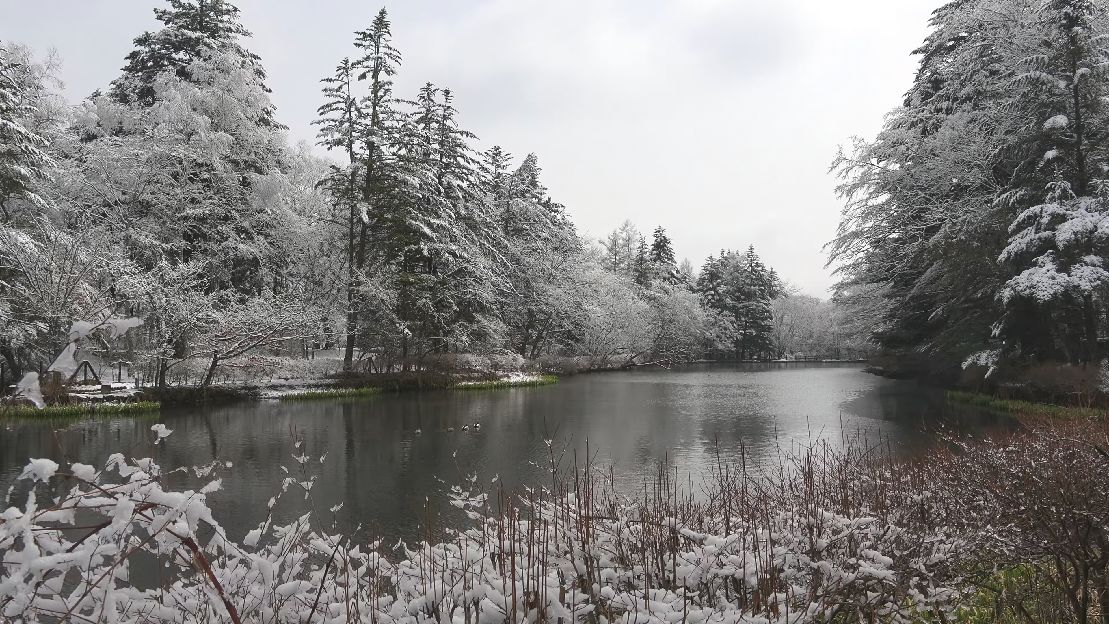 看看风景 美丽的雪景