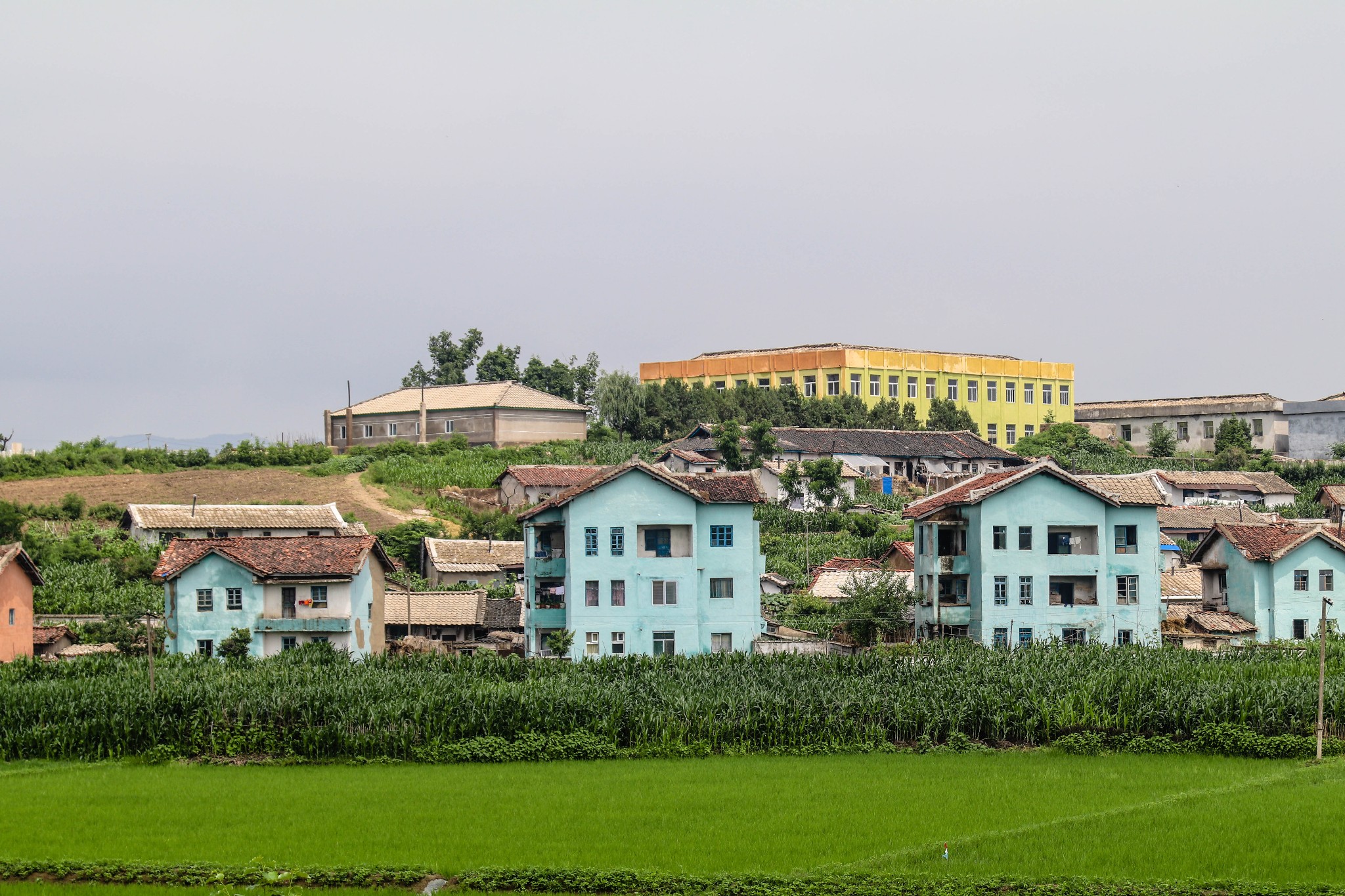 朝鲜族农村房子图片