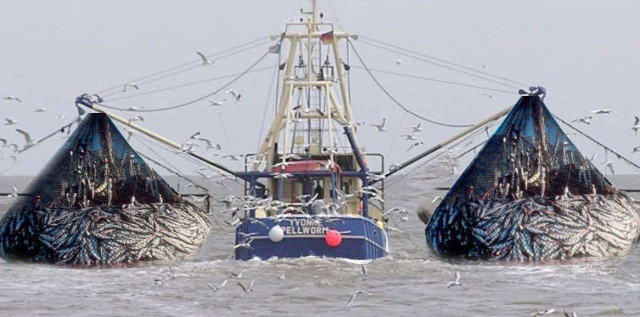 号称世界上最牛的捕鱼船,渔网突然拉不动,下水一看情况不对!