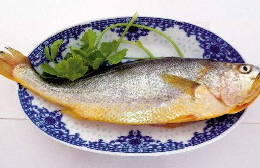 黄鱼和黄花鱼,它们有什么不同?