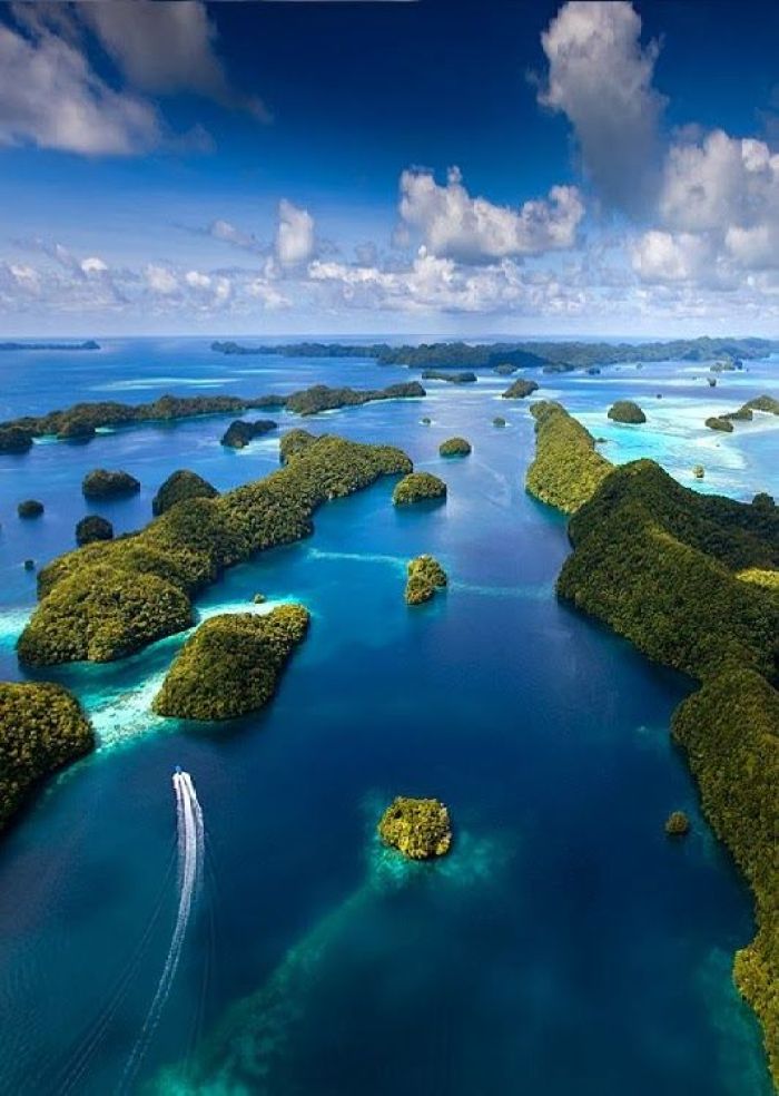 世界最美风光:苍苔路熟僧归寺,红叶声干鹿在林