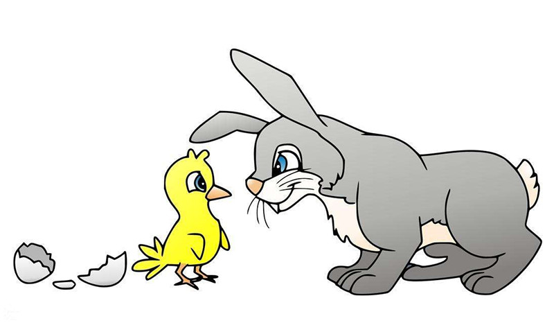 生活巧解:鸡兔同笼,试试你的智商是否在线