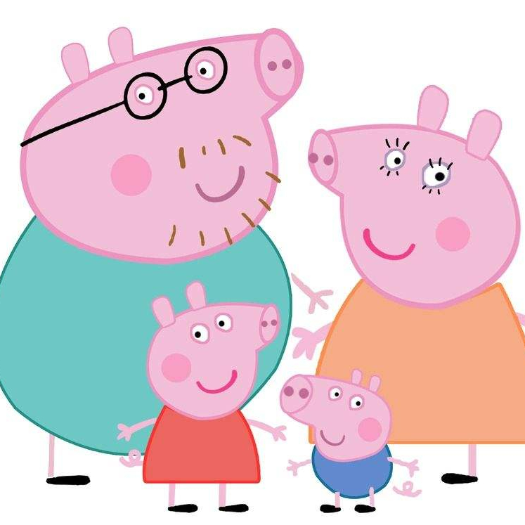 瑜伽视频教程:初学者在家也能学习的瑜伽视频