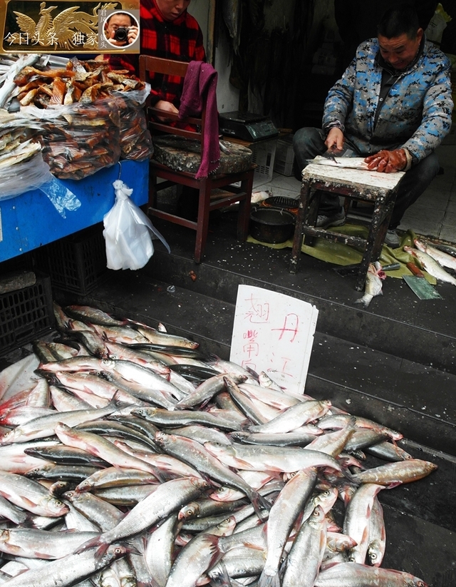 湖北宜昌:菜市场商家卖鱼迎来黄金期 商家坐着卖鱼杀鱼都赚钱