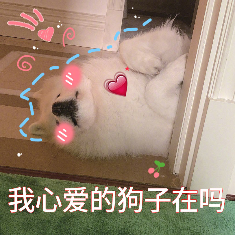 国产撩妹表情包,配上搞笑段子,一起来笑吧!