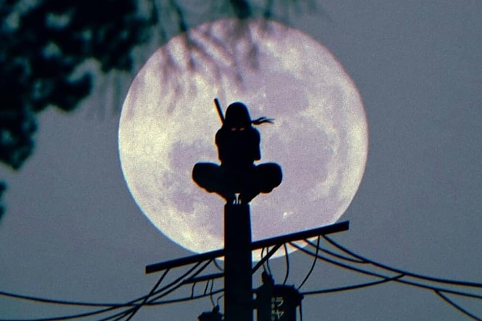 "剪影"动漫角色你能猜出几个?索隆最好猜,猜出3个是真漫迷