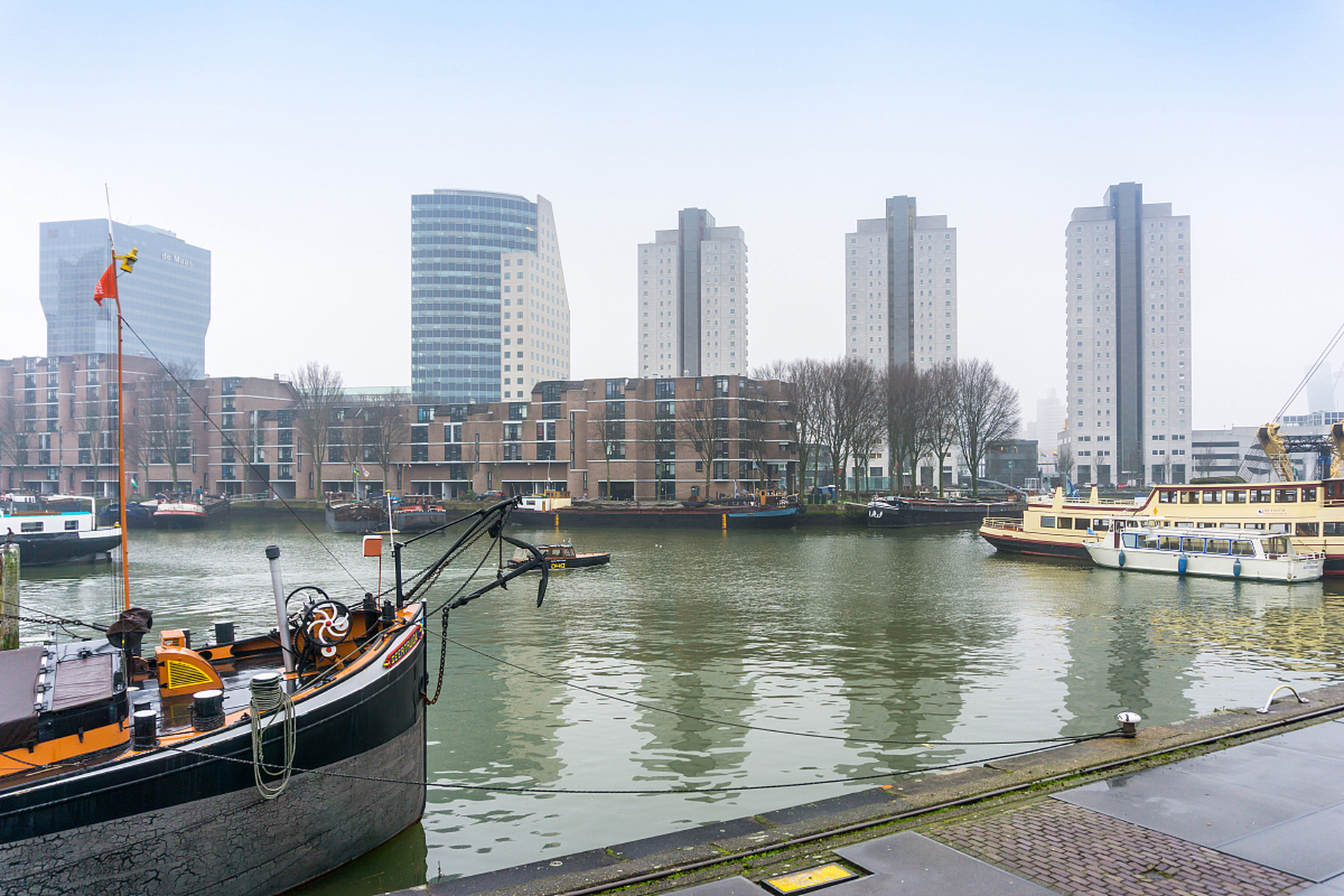 塘沽老码头,大梁子渡口,天津之眼等地是观赏海鸥的热门景点.