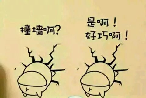 「风子物语」爱自己所爱,撞破南墙