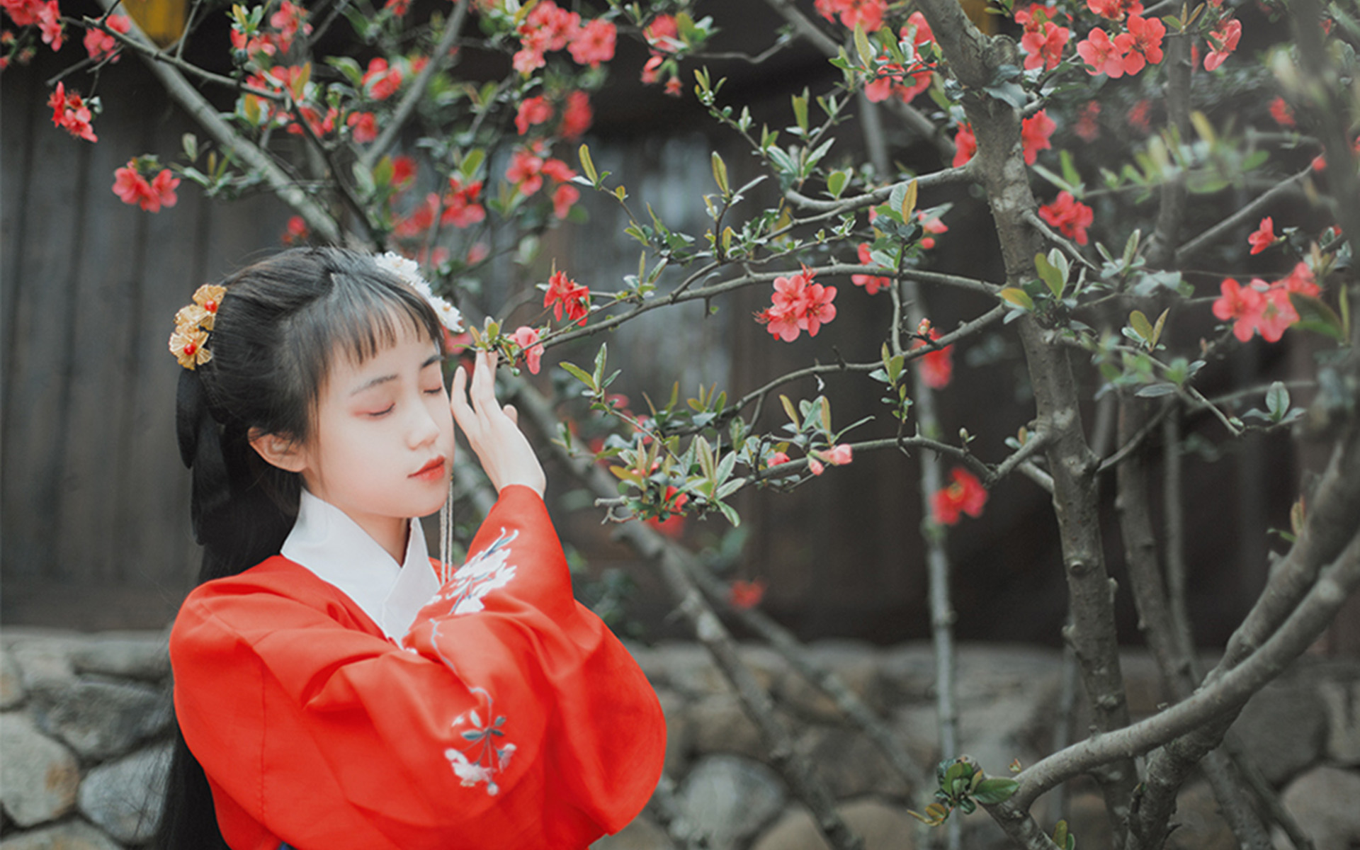 随身空间文:重生古代女童之身,获赠逆天空间,一家六口衣食无忧