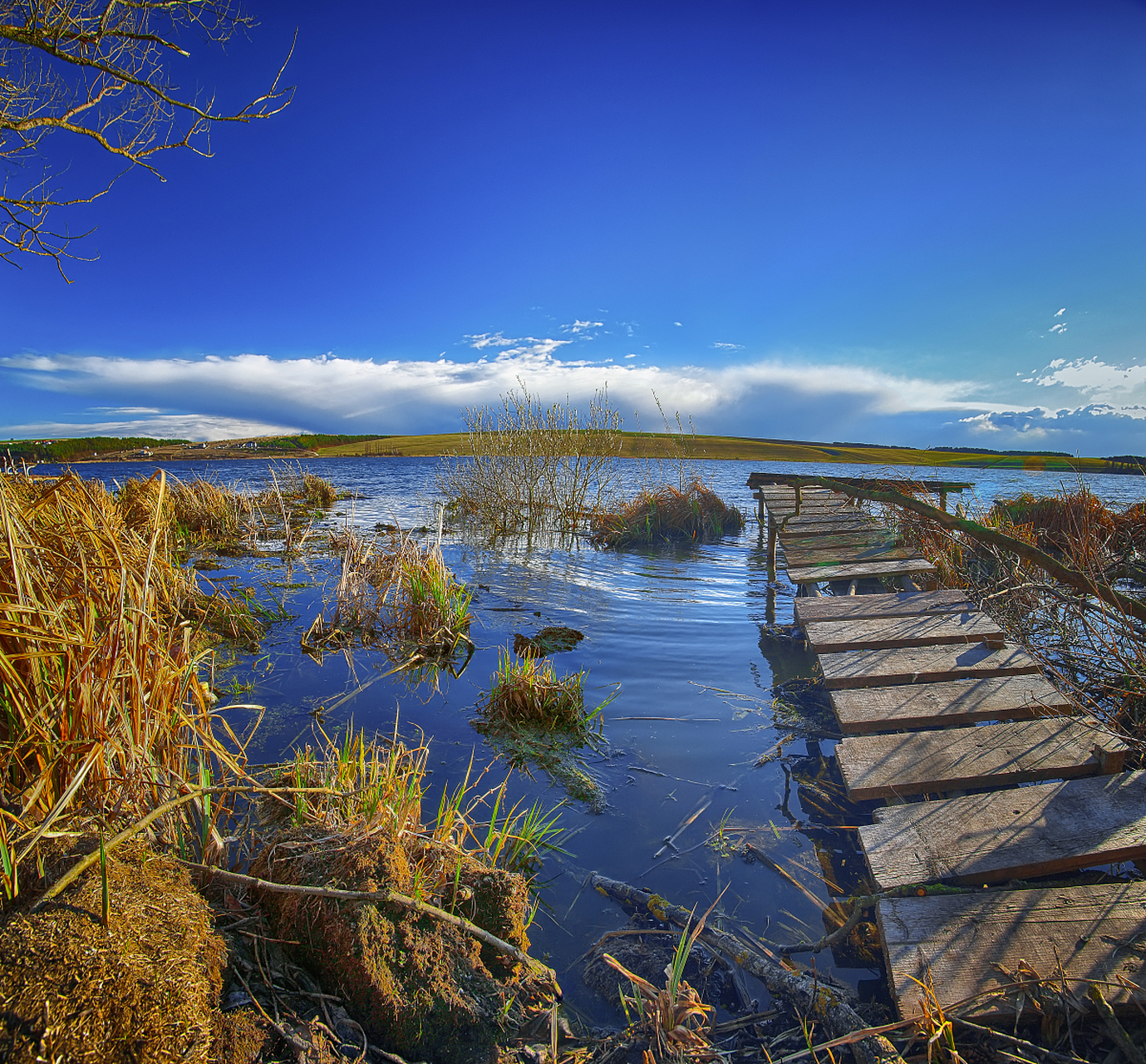 旅行中的治愈日常# 纳帕海自然保护区位于云南省迪庆藏族自治州的
